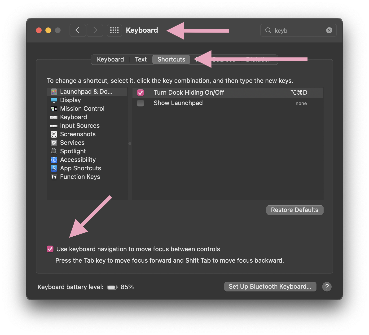 Screenshot of the Keyboard preferences pane in macOS System Preferences.