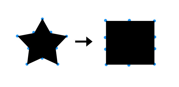 points placed on the rectangle